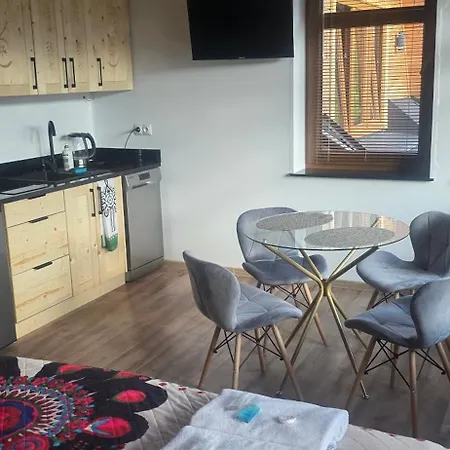 Samo Centrum ,,willa Kasztelanka Apartament Zakopane