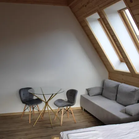 Apartment Samo Centrum ,,willa Kasztelanka