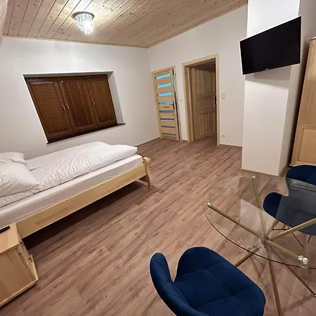 Apartment Samo Centrum ,,willa Kasztelanka
